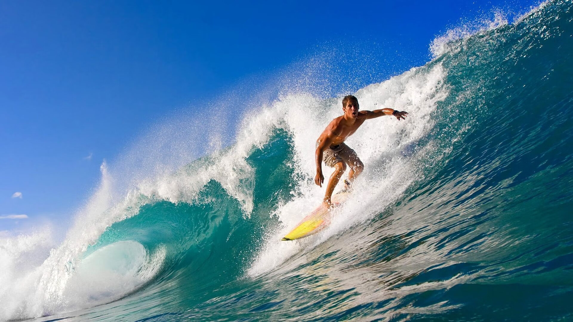 体育教育本科专业调整课程结构更重实践，大学本科体育教育专业主要课程